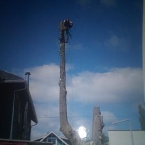 Meet your Posher, Ken